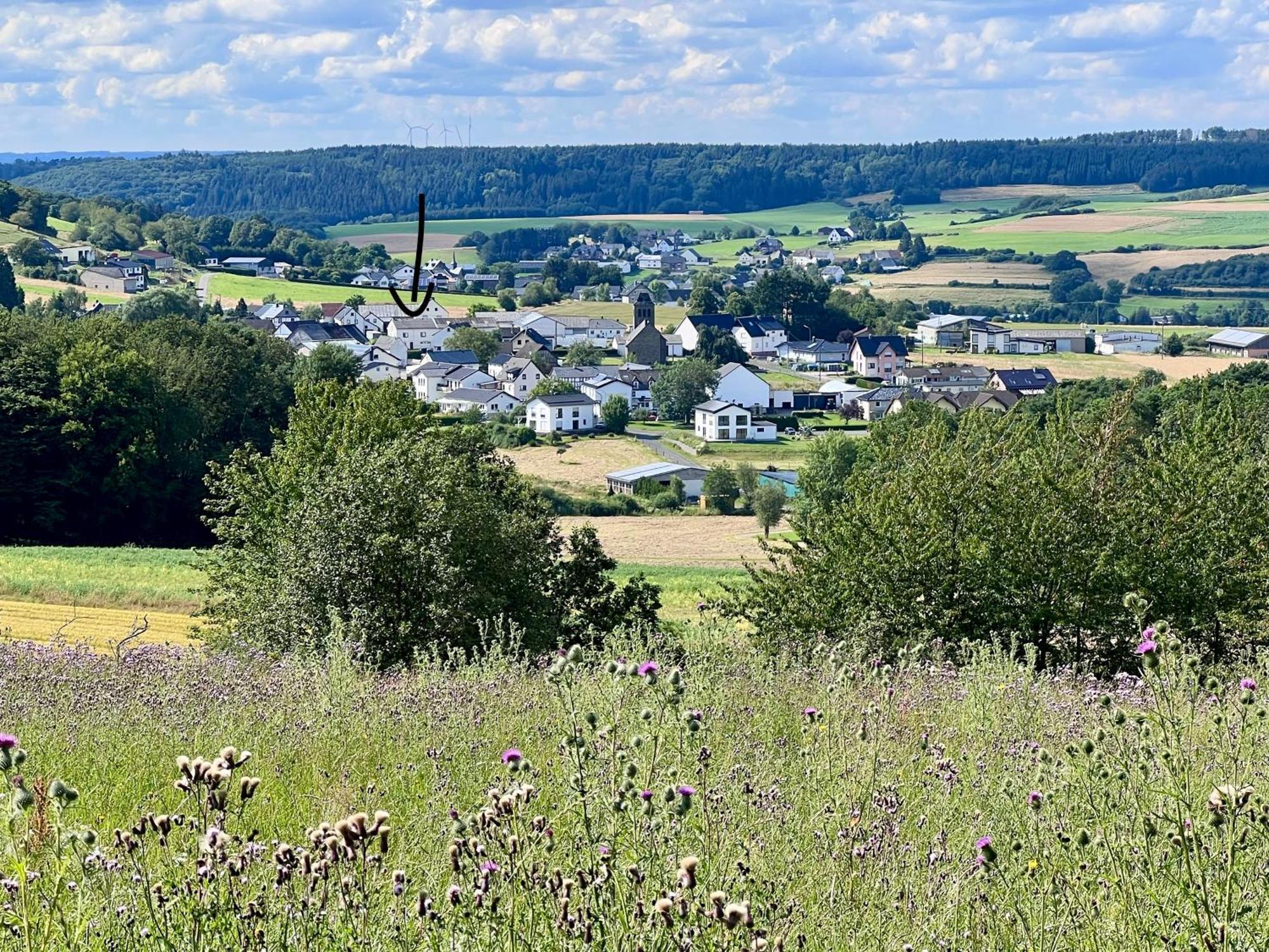 B&B Ringlodge Kelberg Eksteriør bilde